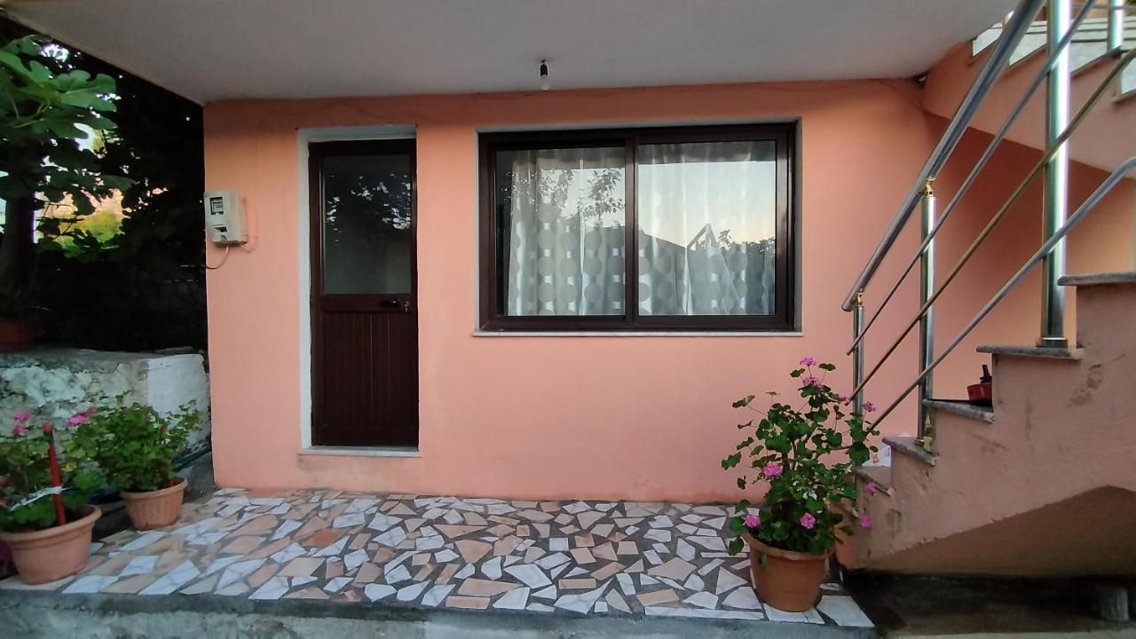 Welcome Guest House Shkodër Exteriör bild